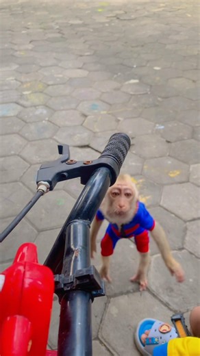 That look when she realized she wasn’t the one being hugged 🥺 #wildlife #wildanimals #animallover