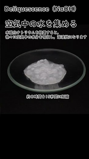 空気中の水分を吸収して溶ける物質 #理科の実験 #ssh #experiment #都立小石川 #火曜日は化曜日