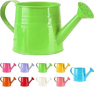 Watering Can Gardening Tool Accessories, Sprinkling Can 1L Metal Flower Garden Watering Can for Outdoor Indoor Plants Lawn Garden (Green)
