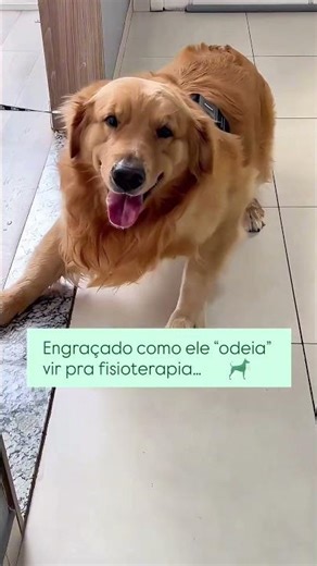Engraçado como ele “odeia” vir para a fisioterapia…