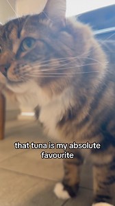 308 reactions · 3 comments | We know you can’t plan for an emergency, but if your pet ever needs us, you’ll discover the VEG difference. | VEG ER for Pets | Facebook