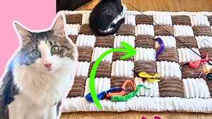 Watch Checker plush pet mat #cats #pets on Amazon Live