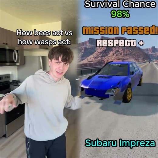 Average bee vs wasp interaction #fypシ #bees #wasps #relatable #trend #skitscomedy #skits #comedyvide