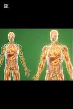 Date Palm: Digestion, Benefits, Side Effects | Full Science Explained