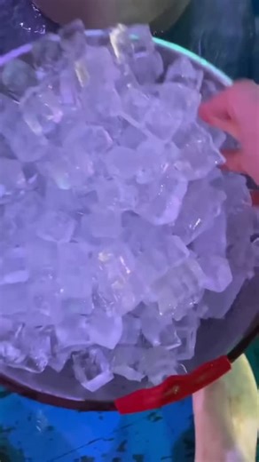 52K views · 371 reactions | Belugas eating ice might look strange, but it’s actually mental enrichment 流易 Sometimes caretakers hide fish or vitamins inside ice cubes—turning snack time into a puzzle. 里 While public aquariums aren’t perfect, moments like this show how hard caretakers work to keep these intelligent animals stimulated and cared for. | CoralFish12g | Facebook