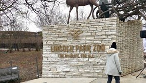 Lincoln Park Zoo unveils new logo, long-term vision