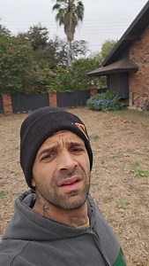 Joey Santore on Instagram: "Shout to the Mycologists who can isolate this species of fungus and breed a phenotype (strain, that can go on to kill turf grass across America. Since most turf grass species are non-native to North America and since lawn grasses are kept in a perpetually-stressed and "bonsai-ed" state, this should be easy. We can then inoculate pelletized soybean meal and then hammer the pellets into turf grasses across this great continent, in office parks, culture-de-sac communitie