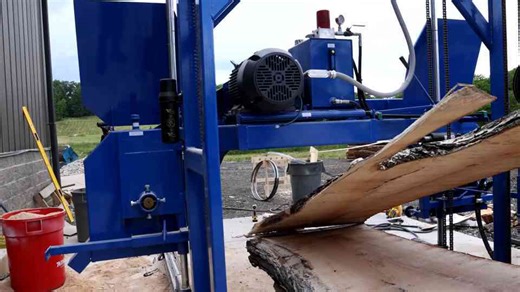 We saved this beautiful maple from firewood - then it killed the $60,000 sawmill