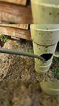 DIY Drain Clog Solutions: A Step by Step Guide