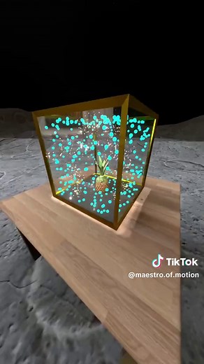 Exploring the Apple in a Box Theory Through Animation