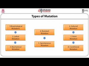 Mutation and Genetic Load(ANT)