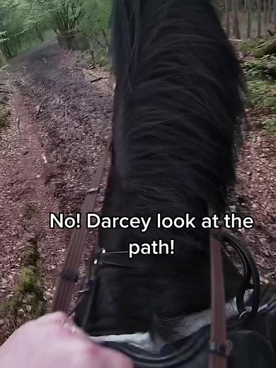 Her back her rules. Another example of why she was £1 🤦‍♀️😂 #equestrian #eq #equine #horse #horses #horseriding #fyp #fypシ #horsetok #mare