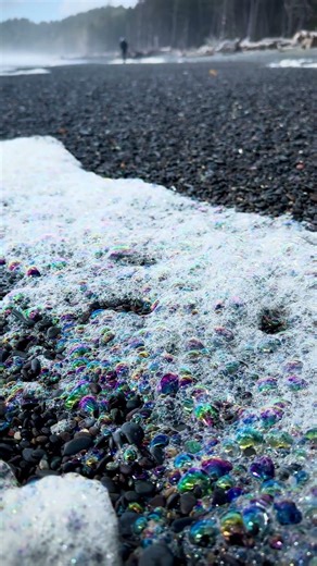 Rainbow Sea Foam