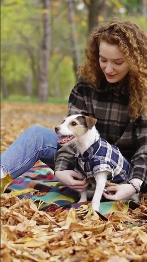 Dog-Friendly Travel Tips and Spots