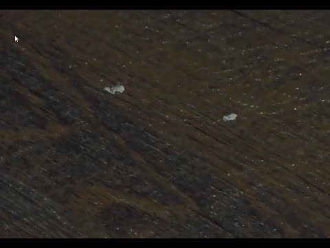 It Just Has To Work!, Episode 5, Removing Dried Latex Paint from Vinyl Flooring