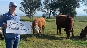 1.1M views · 332 reactions | My team just launched a brand new ad to...