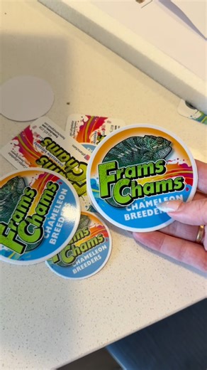 bella🎀🐞🌸 on Instagram: "not only is @framschams_chameleons one of the best chameleon breeders out there, but they have SILKWORMS!! Silkworms are an excellent source of protein and hydration for chameleons. you may even wear silk clothing. But as a bug girl, I am SO excited to raise them into moths!!! 🦋🐛🤍"