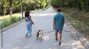 Rear view of couple walking their dogs in the park