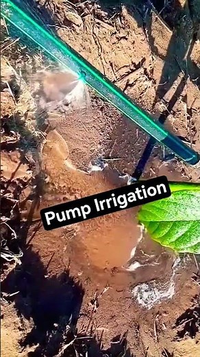 Irrigation Pump Setup & Watering Guid