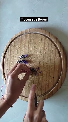 #short ¡Aprende a utilizar y cultivar la LAVANDA!