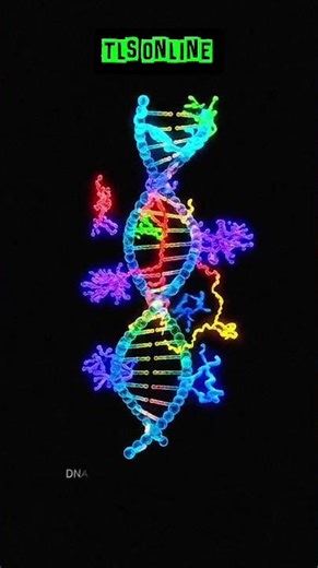 DNA Replication: Enzymes & Strands 🧬 #csirnetlatestupdate#tlsonline#csirnetl #lifesciencesyllabus