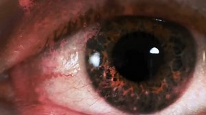 1.4K views · 51 shares | Mind Control: The MK Ultra Files - The...