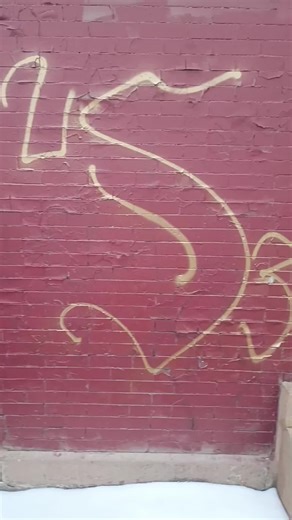 Exploring the Vibrant Community of Little Village, Chicago