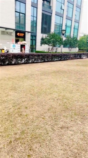 Fun!#rocketballon #balloon #rocketballoons