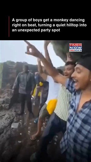 9.3M views · 430K reactions | Who needs a DJ when a group of boys gets a monkey dancing right on beat, turning a quiet hilltop into a spontaneous dance party? The unexpected dance-off went viral, proving even monkeys know how to own the dance floor! [Monkey Moves, Hilltop Party, Viral Dance] | TIMES NOW | Facebook