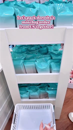 Mini Bag Collection: ASMR Packing Experience