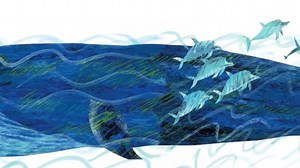 Join Director of Education Courtney Waring for a dive into The Carle’s exhibition Under the Sea with Eric Carle as she shares some highlights! 🐠 #ArtWeekatHome #BookWeek2020AtHome #MuseumFromHome Read by 4th | The Eric Carle Museum of Picture Book Art