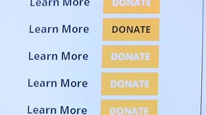 Autos for Animals: Recycling Your Vehicle to Help Lollypop Farm