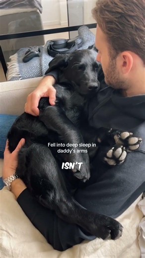 Why Does My Dog Sleep With Me?