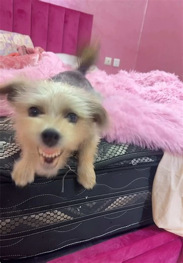 Jacques, le Monstre de Minuit: Une Nuit Terrifiante