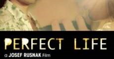 Perfect Life (2010)  - Ver Película Completa en Español / Castellano - FULLTV