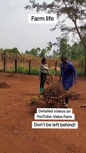 Never stop learning! visit other farms to learn from other farmers. We have detailed videos on YouTube: Value Farm. Don't be left behind! #fyp #foryoupage #millionairemindset #viralvideo #inspiration #goals #business #valuefarm #india #ugandatiktok #ghanatiktok🇬🇭 #nigeriantiktok🇳🇬 #philippines