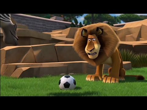 They Found a Ball & Nothing Was Ever The Same ⚽🦁 | Madagascar | Aquaverse