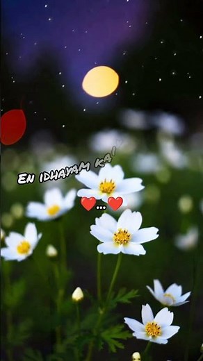 ❤️... ❤️Veesi pona puyalil en vergal saayavillai❤️...❤️