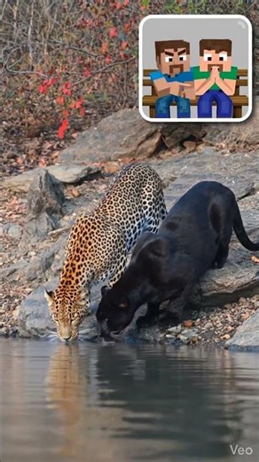 after so long time steve and Alex #minecraft