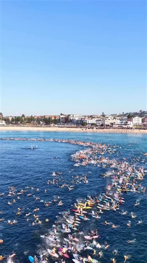 Isabella Dobozy on Instagram: "Community coming together ❤️🤍. Moving scenes for the paddle out at Bondi today #bondibeach #paddleout #sydney @9newssydney @7newssyd @bondisurf.club @sydney @newscomauhq"