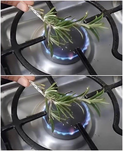 Oh que oui ! Je ne savais pas que brûler le romarin pouvait avoir un tel effet ! ☘️ Pourquoi le font-ils et comment utiliser correctement cette méthode simple mais puissante : je vous le dis dans les commentaires👇👇👇 | Recettes et astuces de mamie