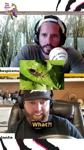 Top 10 Most Deadliest Animals