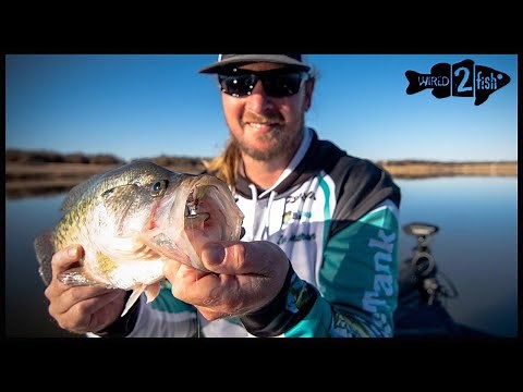 Crappie Fishing for Winter Giants | 5 Modern Tips