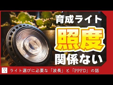 【照度じゃない】室内管理の必需品、植物育成ライト・LEDを選ぶ時に気をつけたい波長とPPFDについて紹介【アガベ・多肉】