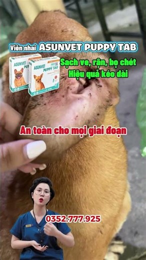 🐶 Is your pet scratching excessively and shedding fur due to ticks and fleas? Don't let it fester...