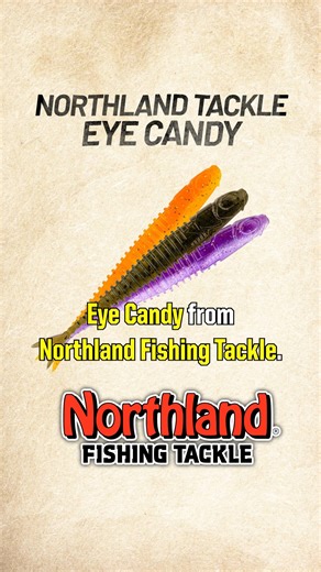 478 reactions · 12 shares | LURE OF THE WEEK - https://bit.ly/3wduKqn The Eye Candy line of plastics from Northland Fishing Tackle comes in a variety of shapes and sizes, is incredibly durable, and offers excellent scent dispersion. | Scheels Outdoors | Facebook