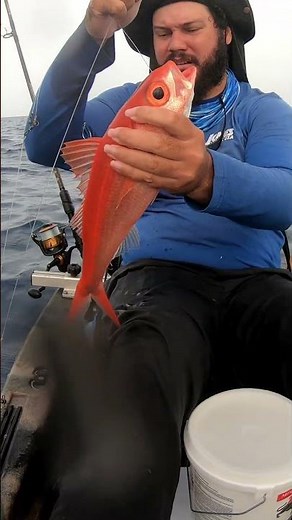 Chill Kayak Fishing in Roatán 🎣 | Deep Drop Snapper Catch