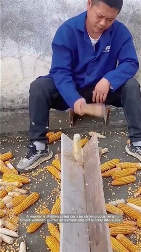 Low-Tech Corn Shelling with a Wooden Splitter Jig