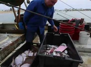 33K views · 124 reactions | Fishing industry in US facing problems due to global warming | The Times of India | Facebook