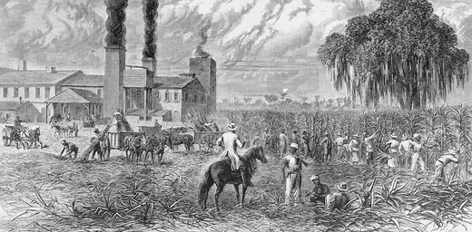 Making sugar, making ‘coolies’: Chinese laborers toiled alongside Black workers on 19th-century Louisiana plantations